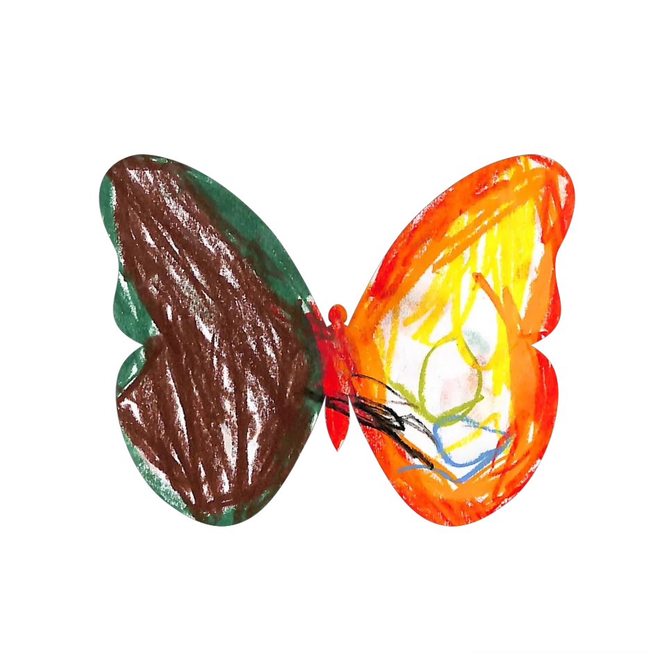 Original Butterfly Image