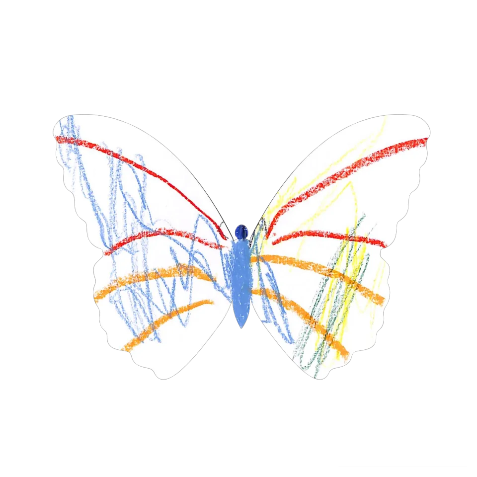 Original Butterfly Image