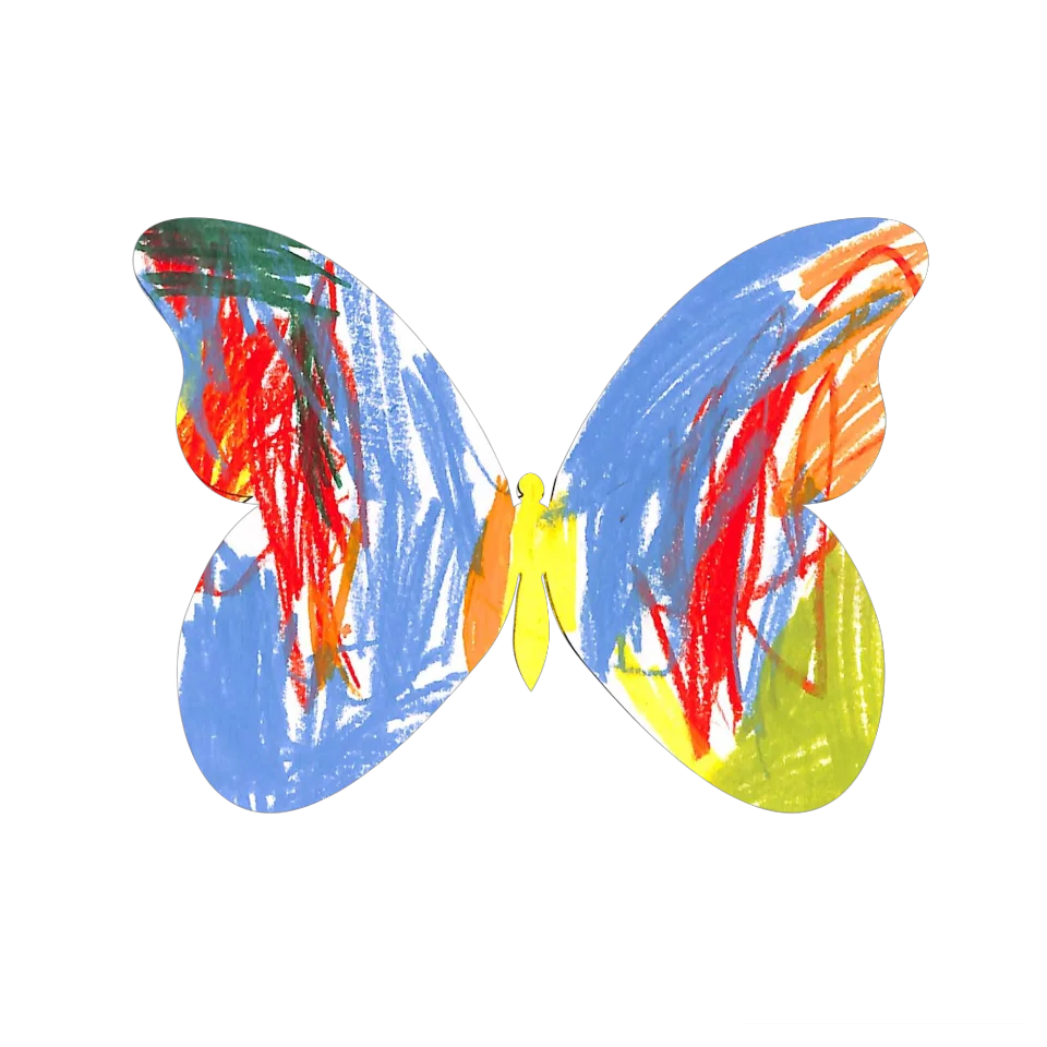 Original Butterfly Image
