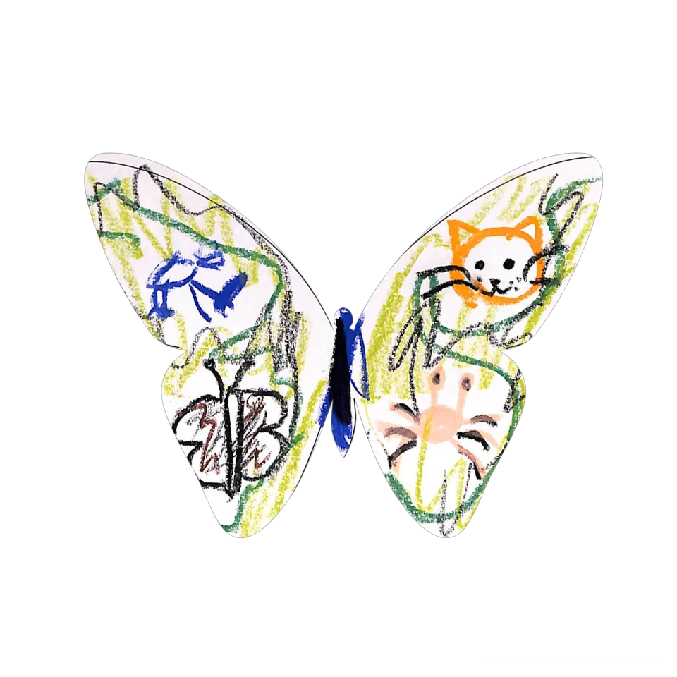 Original Butterfly Image