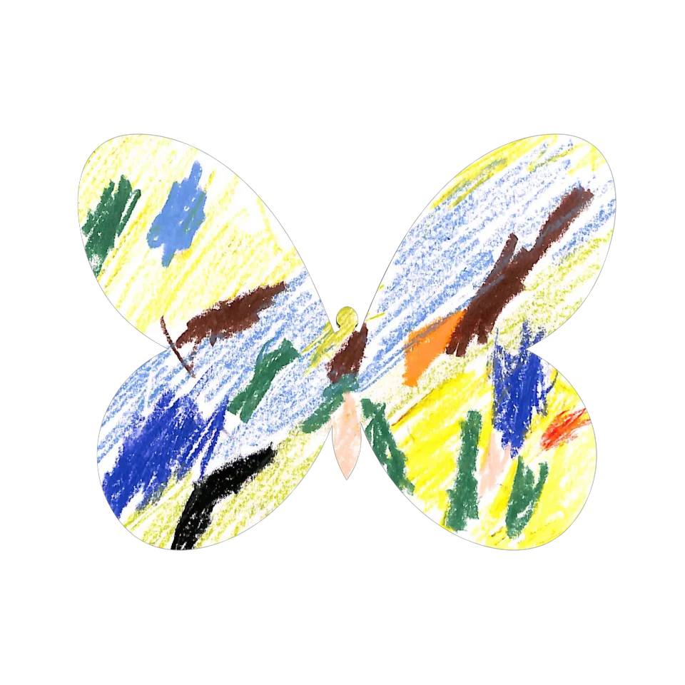 Original Butterfly Image