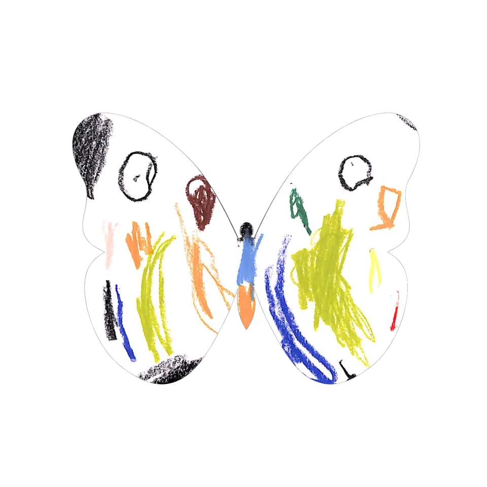 Original Butterfly Image