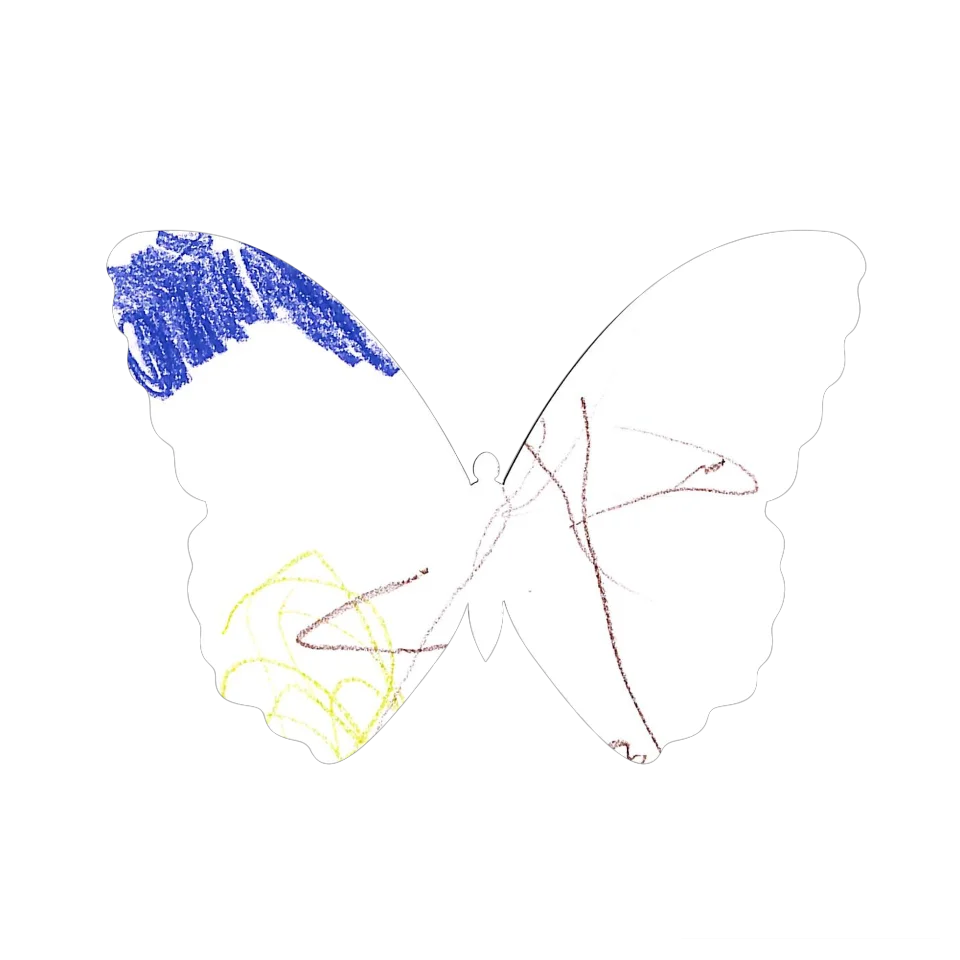 Original Butterfly Image
