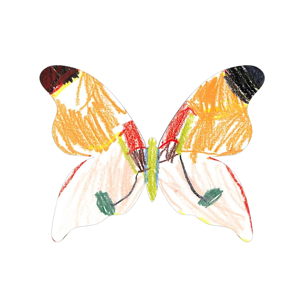 Original Butterfly Image