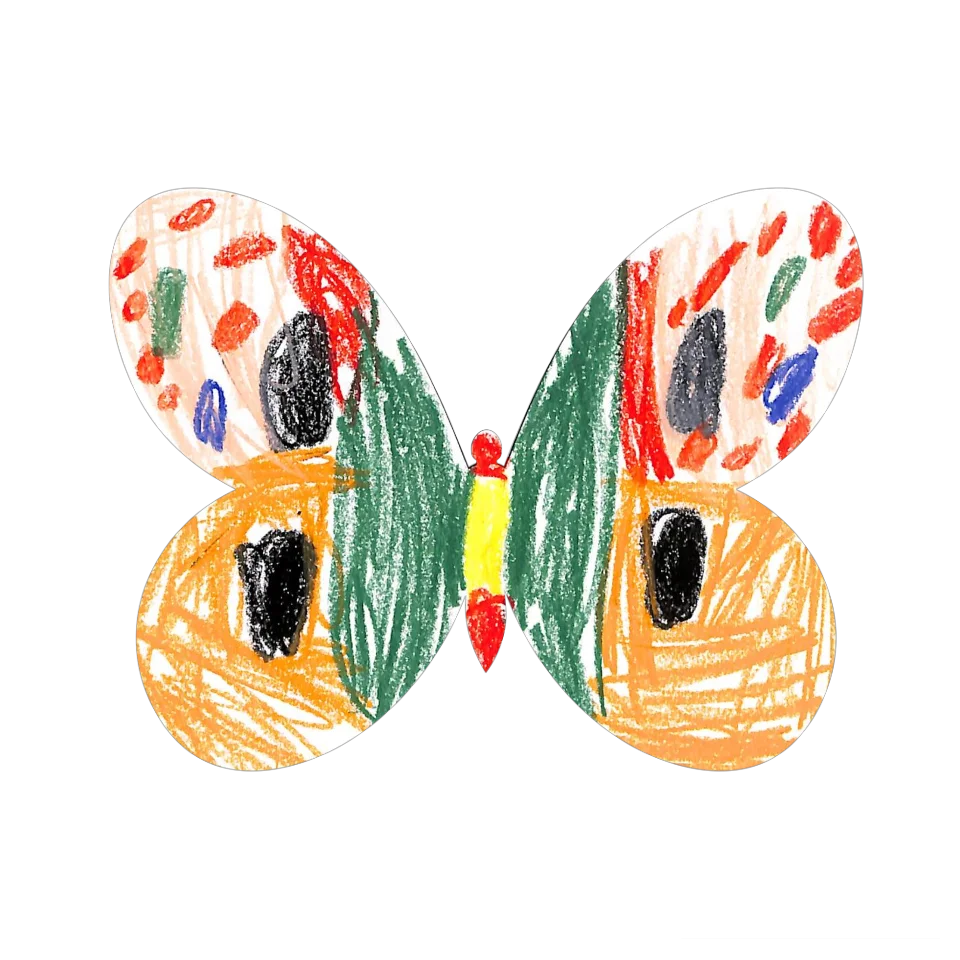 Original Butterfly Image