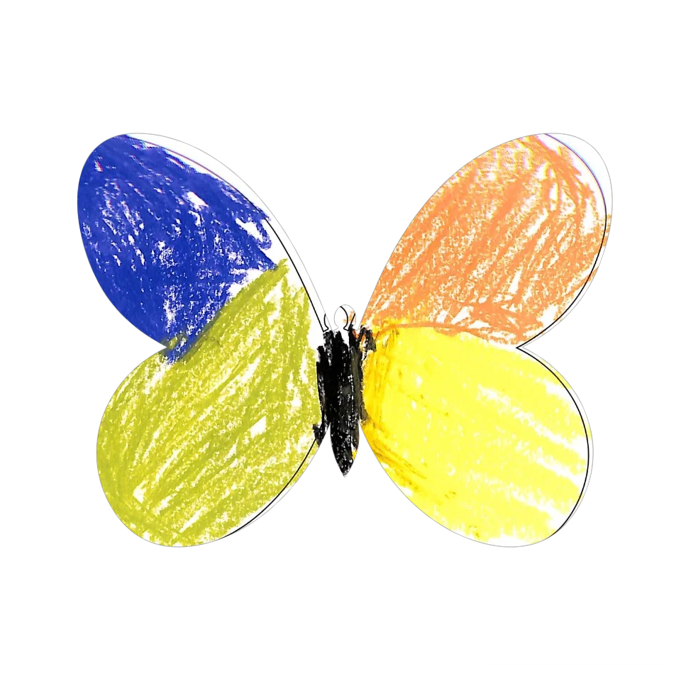 Original Butterfly Image