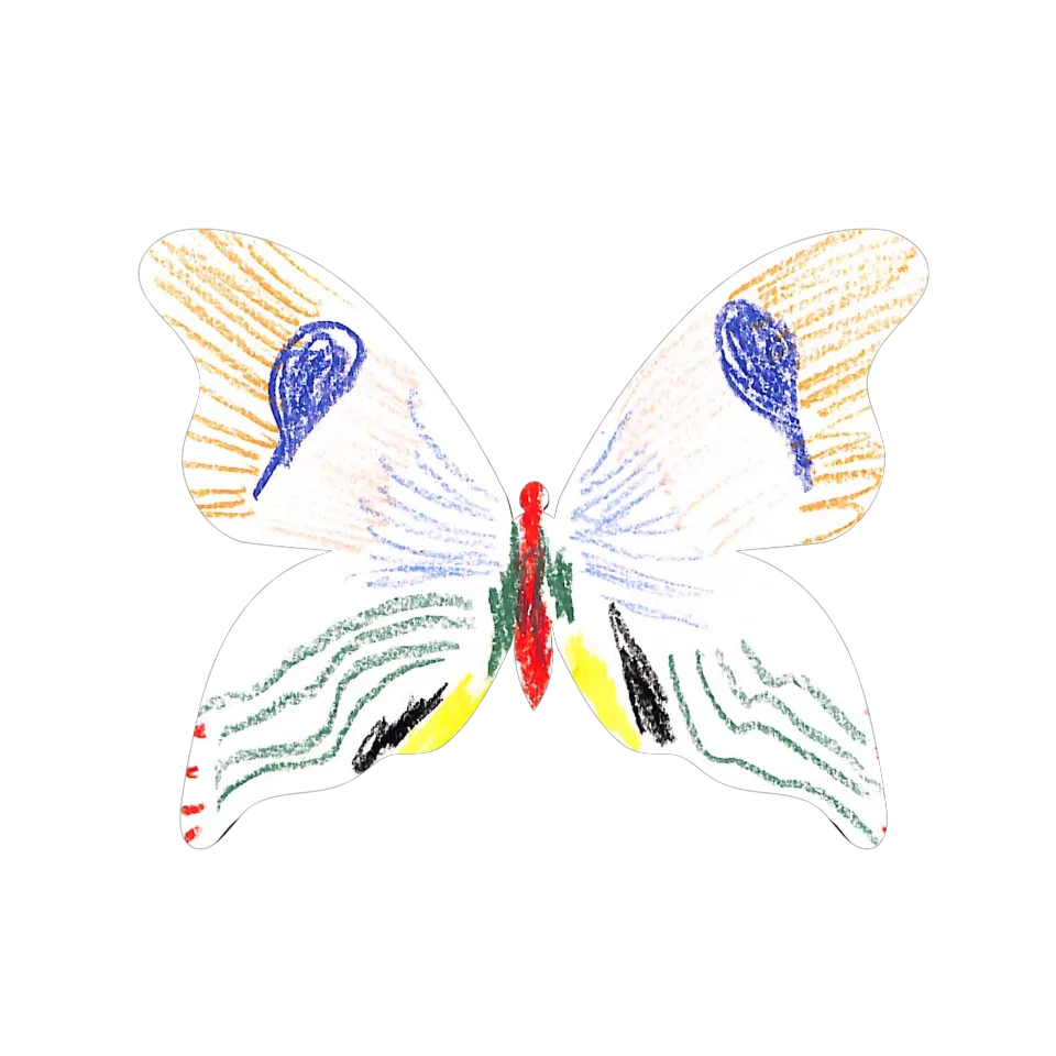 Original Butterfly Image
