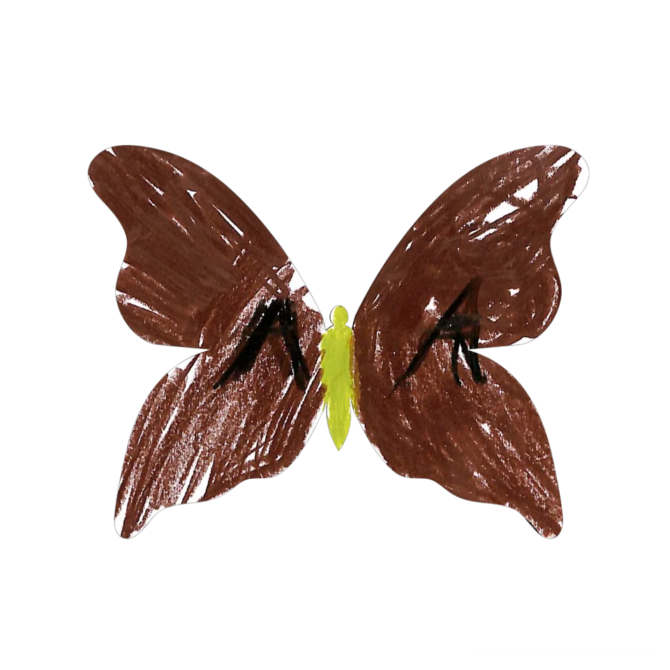 Original Butterfly Image