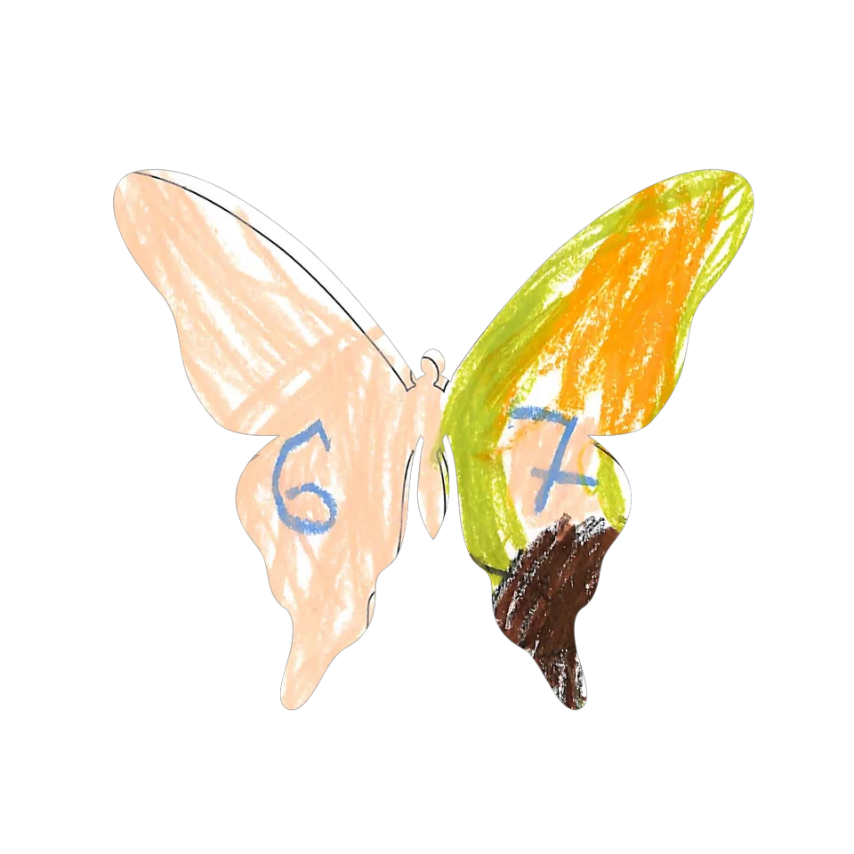 Original Butterfly Image