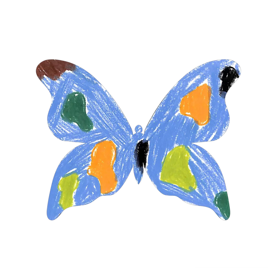 Original Butterfly Image