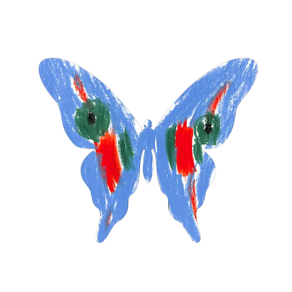 Original Butterfly Image