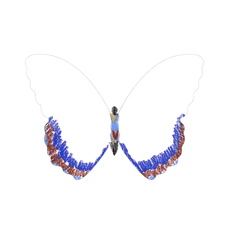 Original Butterfly Image