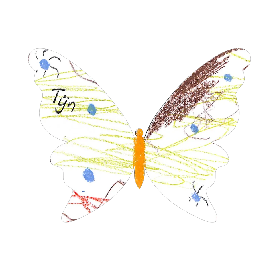 Original Butterfly Image