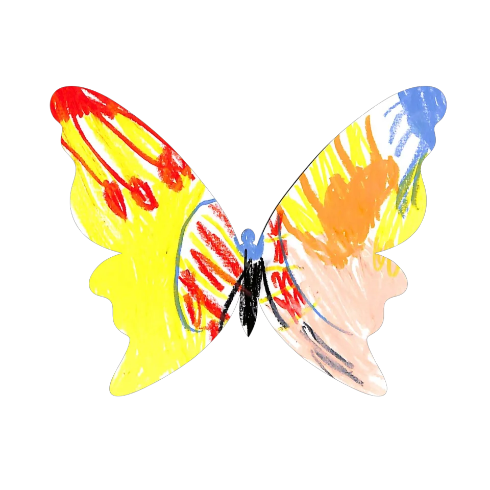 Original Butterfly Image