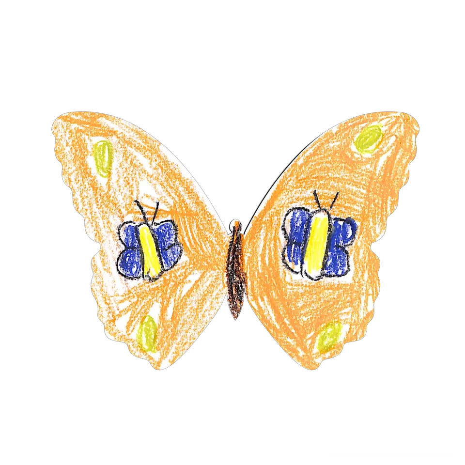 Original Butterfly Image