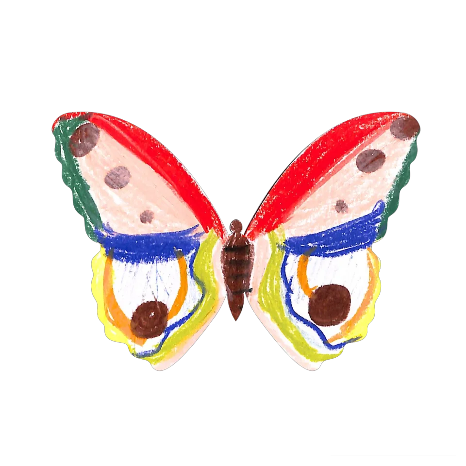 Original Butterfly Image