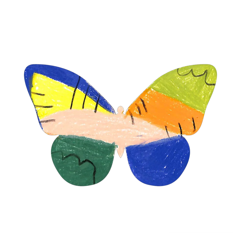 Original Butterfly Image