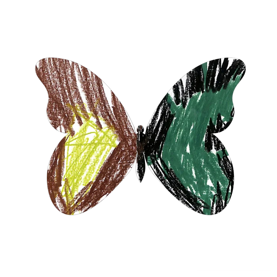 Original Butterfly Image