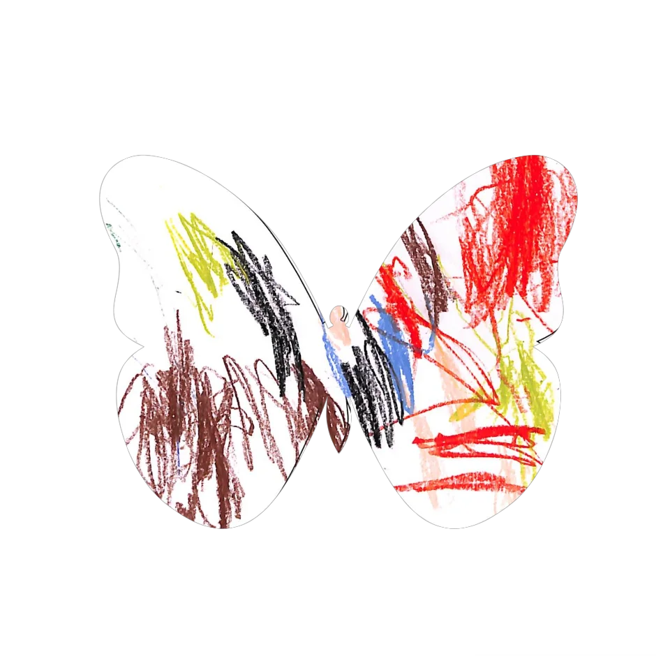 Original Butterfly Image