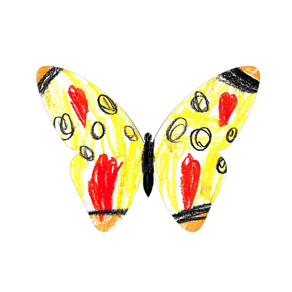 Original Butterfly Image