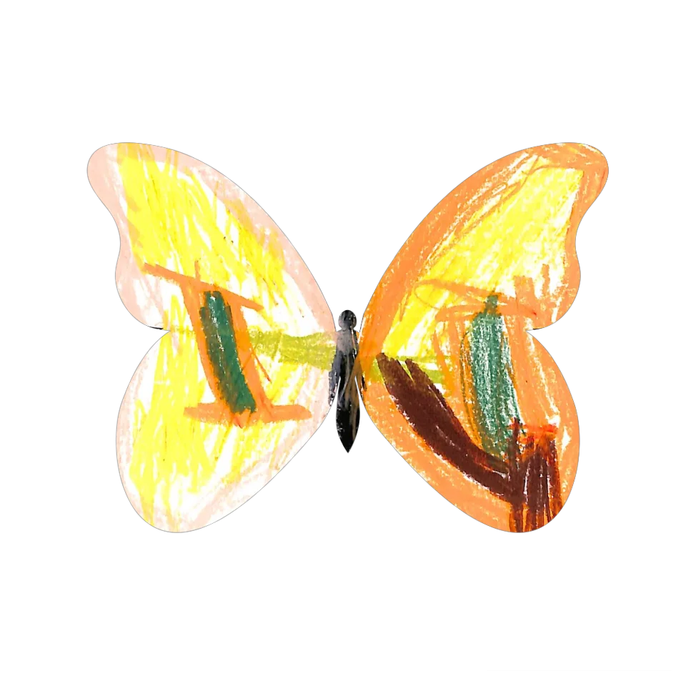 Original Butterfly Image