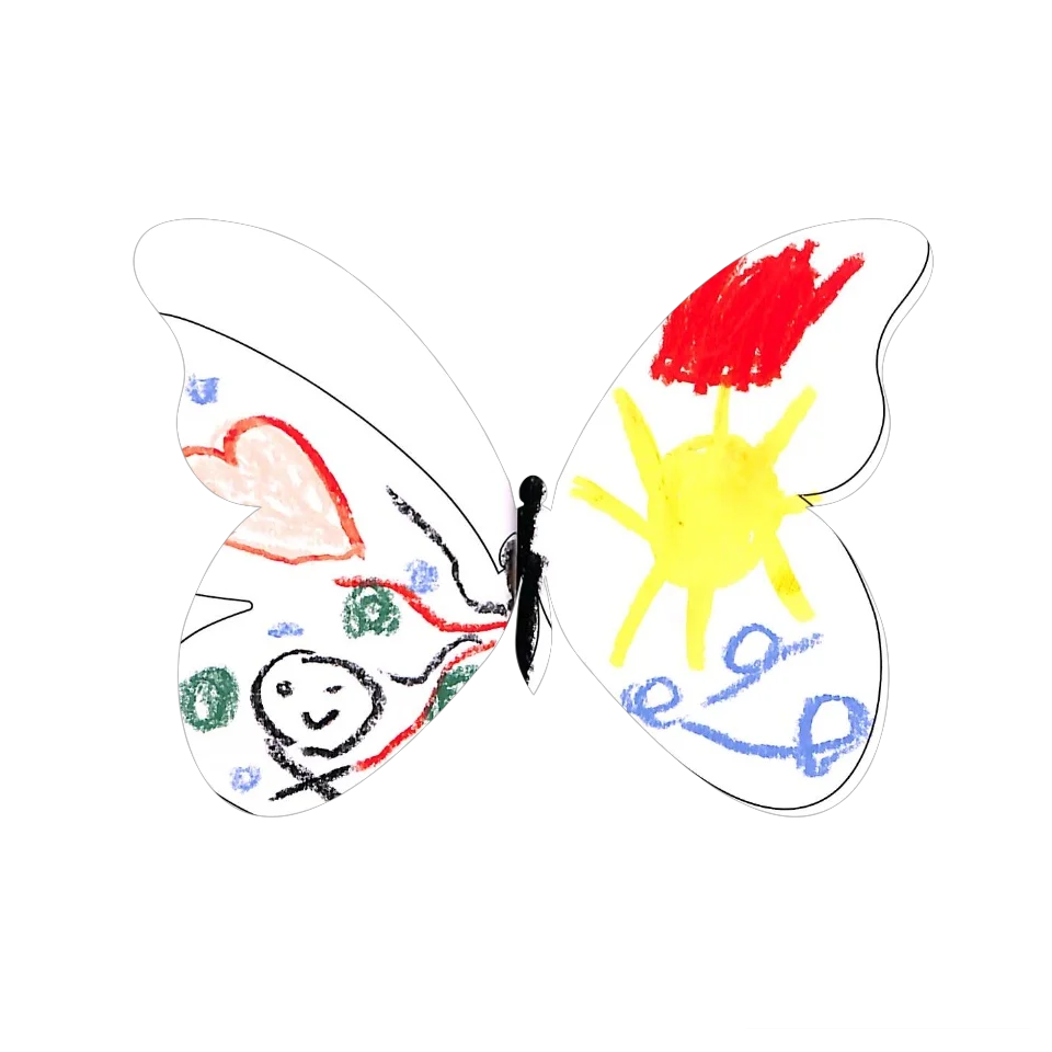 Original Butterfly Image