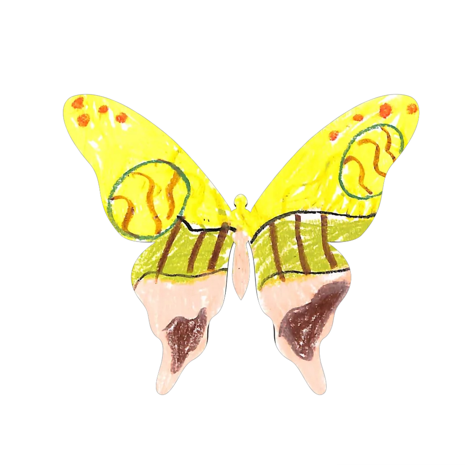 Original Butterfly Image