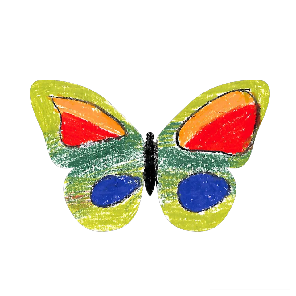 Original Butterfly Image