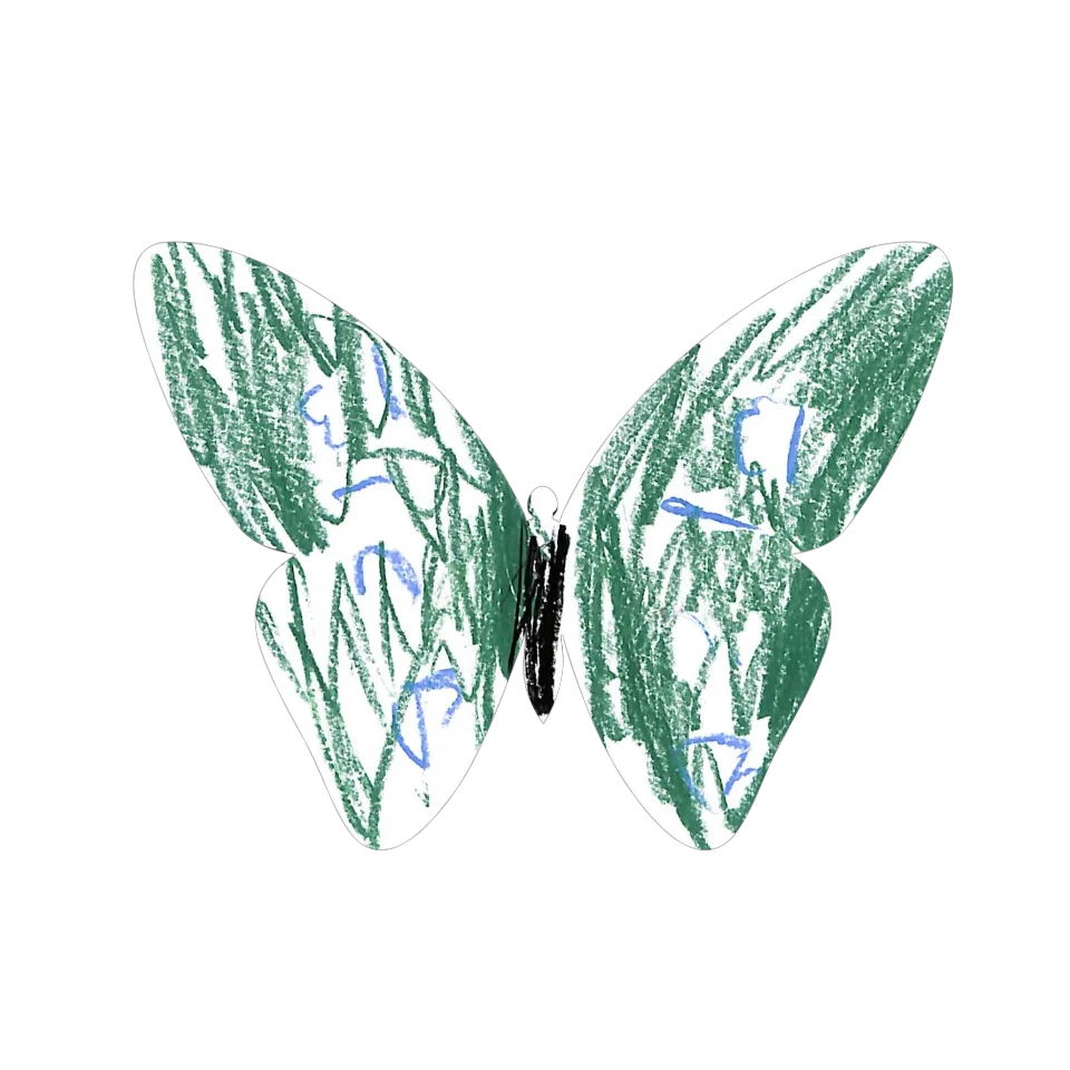 Original Butterfly Image