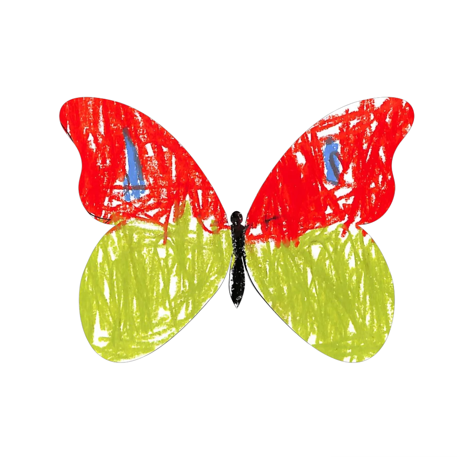 Original Butterfly Image