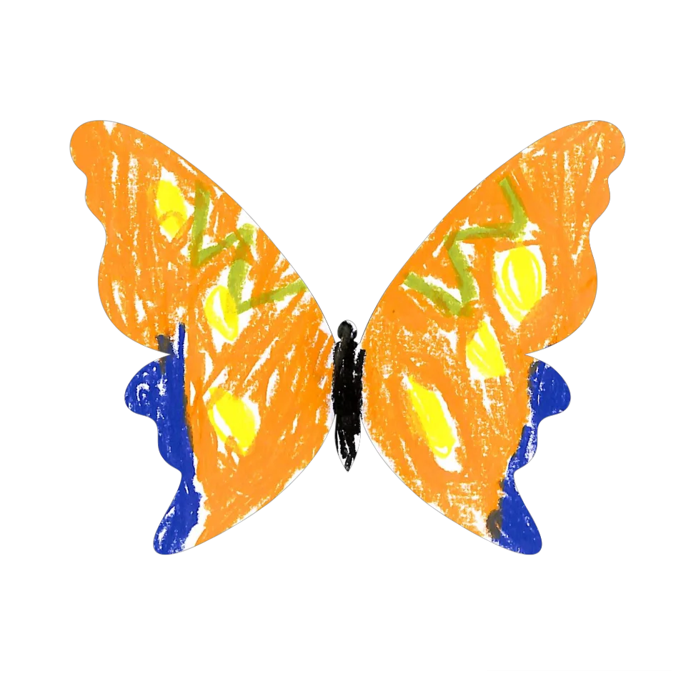 Original Butterfly Image
