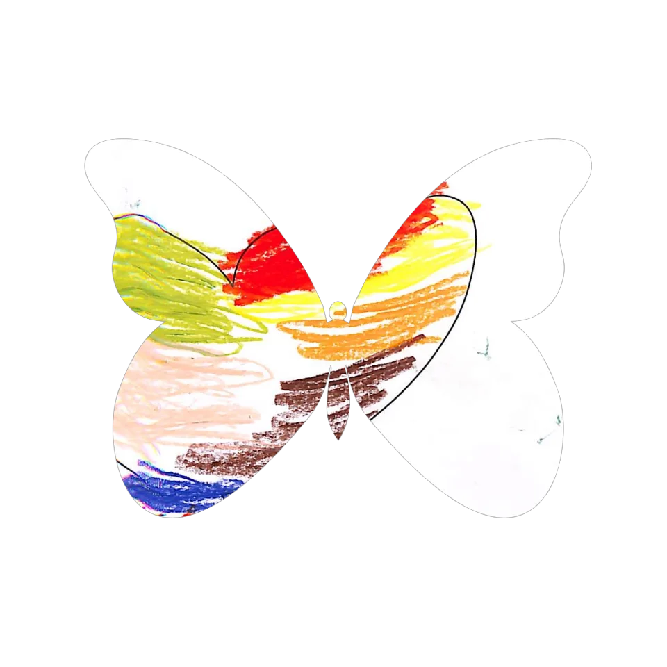 Original Butterfly Image