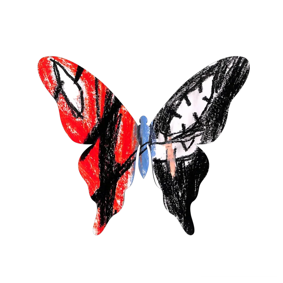 Original Butterfly Image