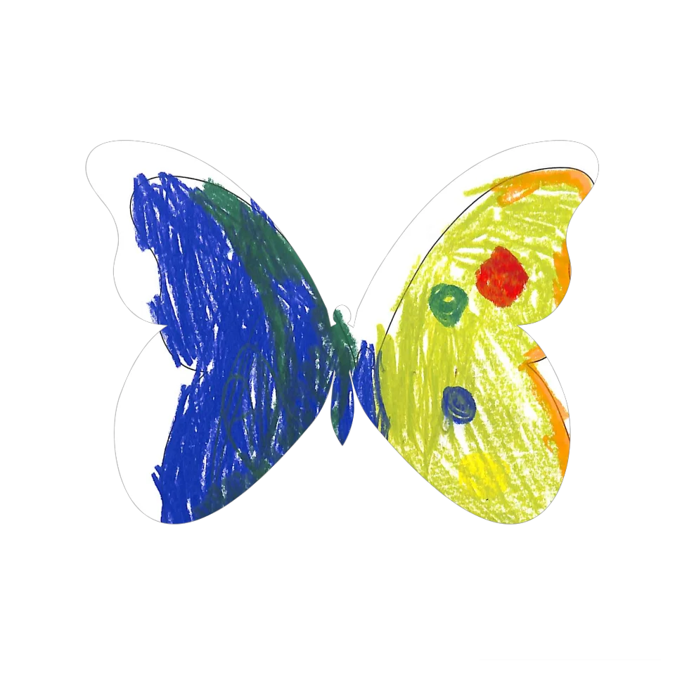 Original Butterfly Image