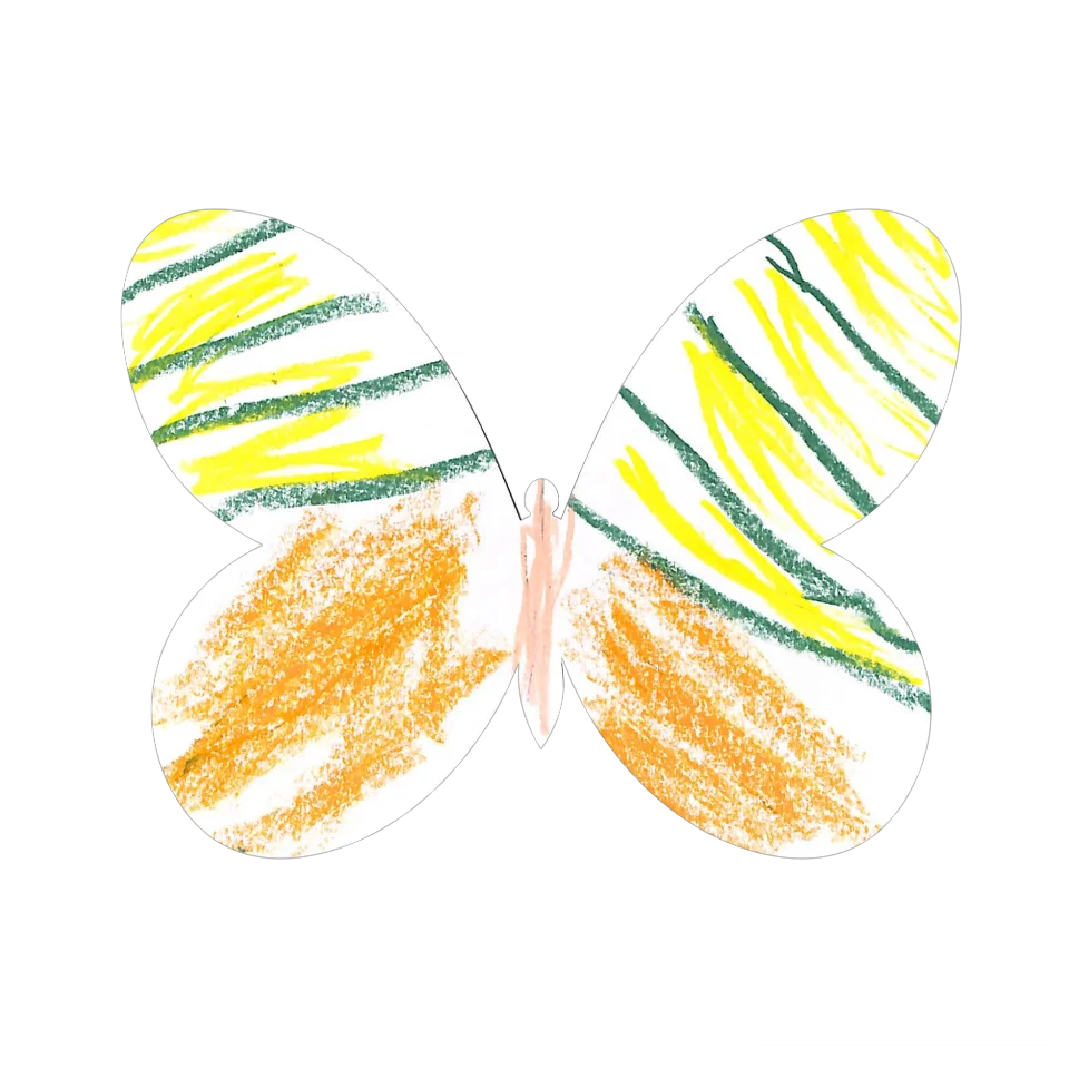 Original Butterfly Image