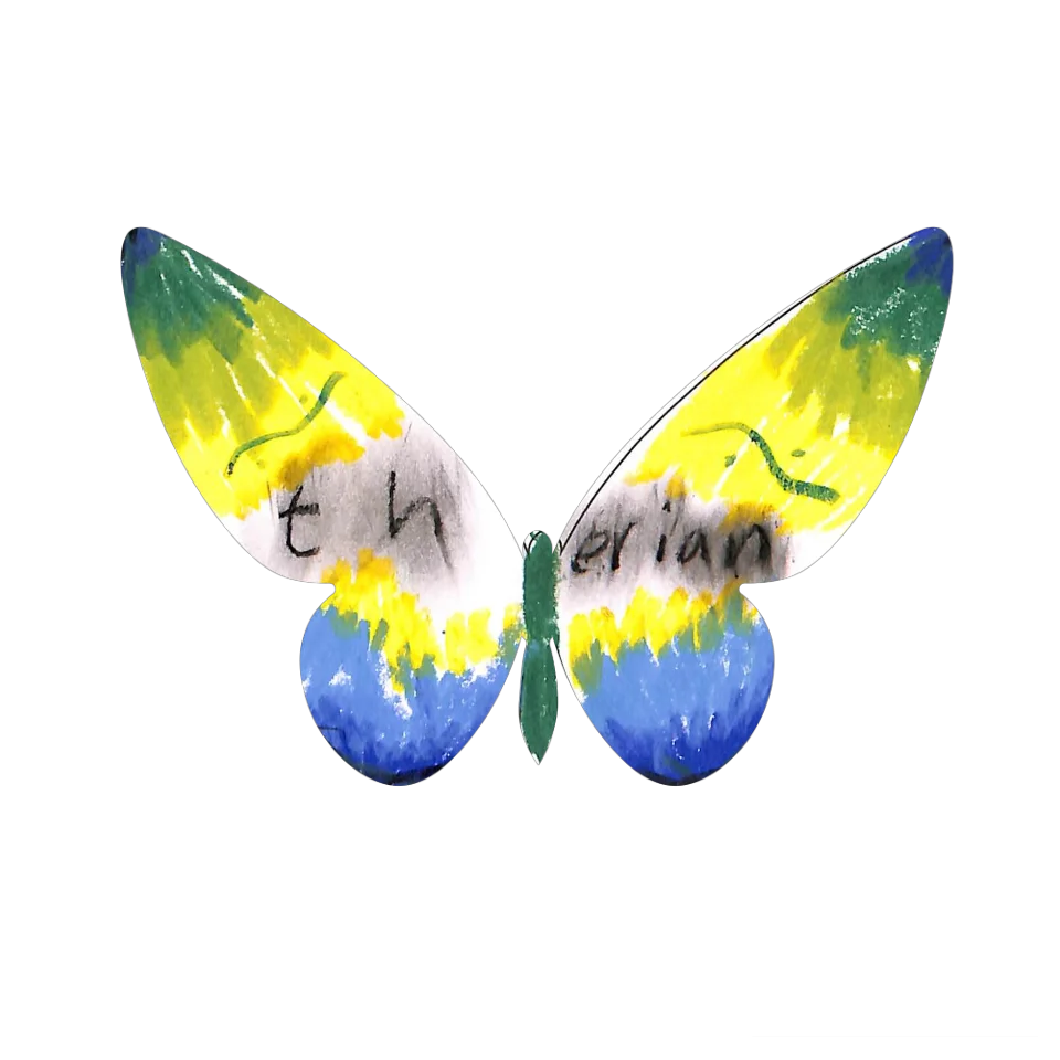 Original Butterfly Image