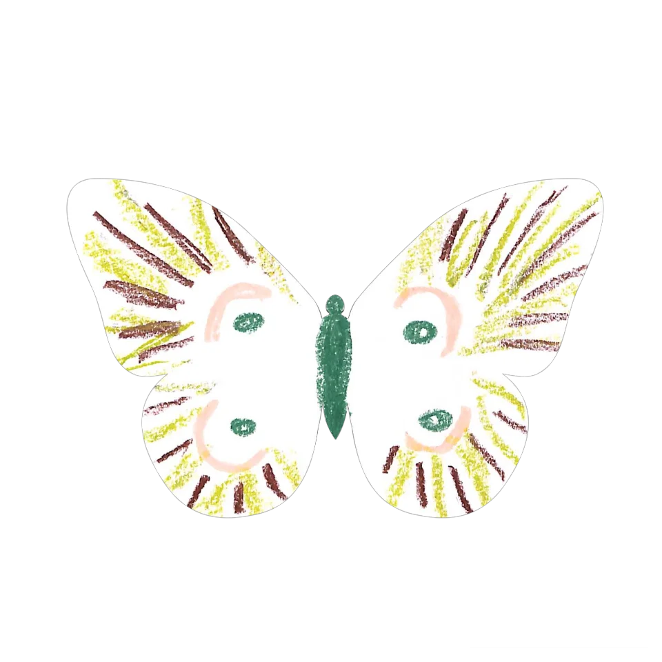 Original Butterfly Image