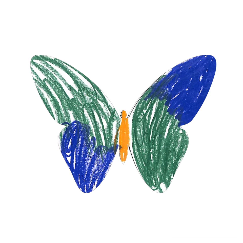 Original Butterfly Image