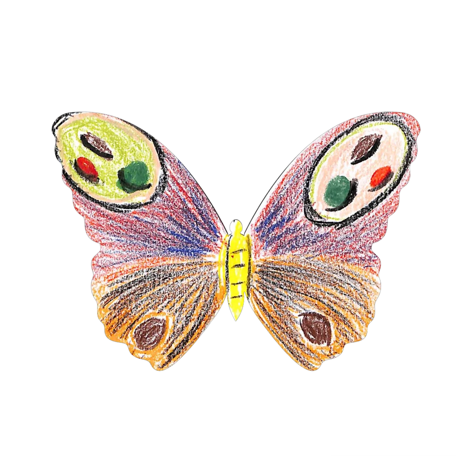 Original Butterfly Image