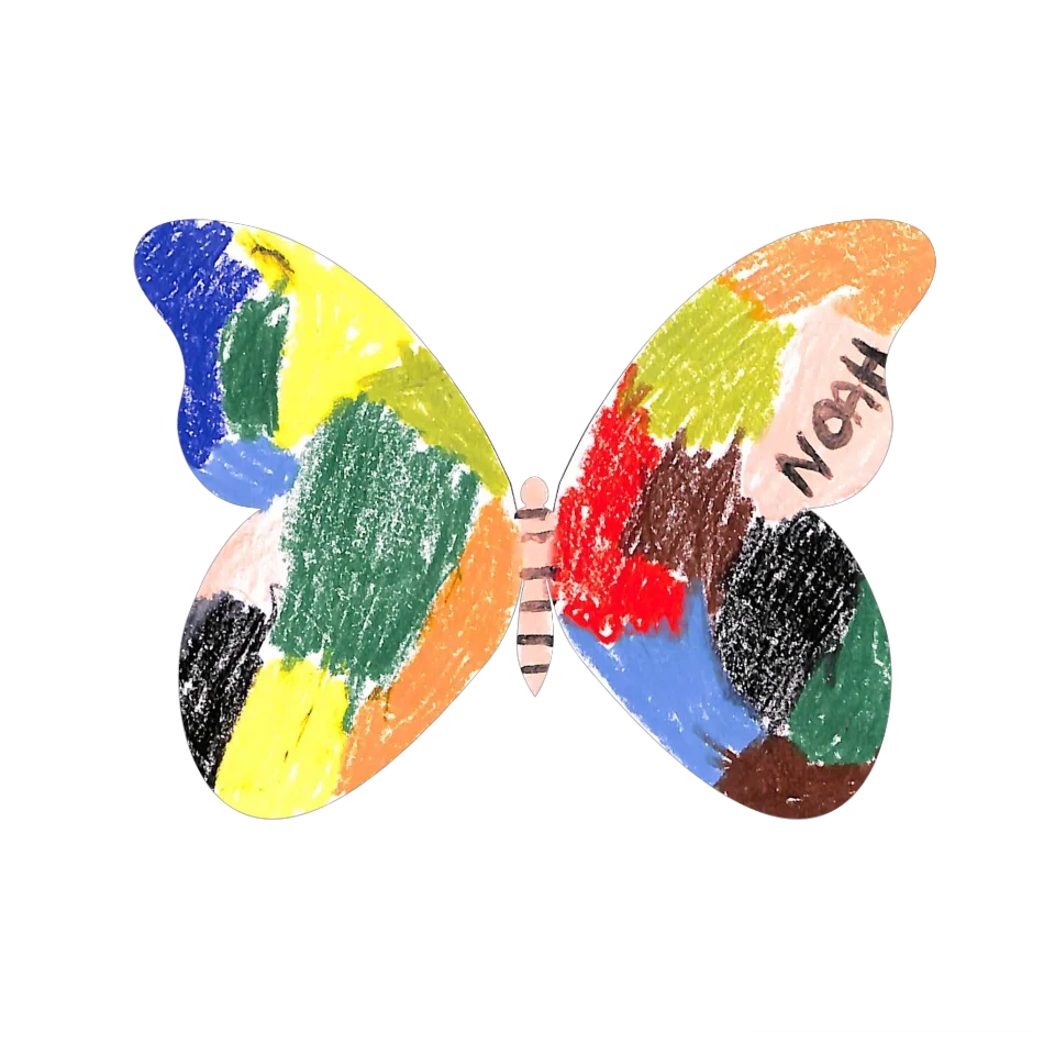 Original Butterfly Image