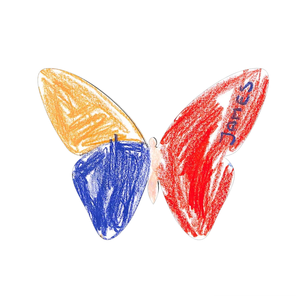 Original Butterfly Image