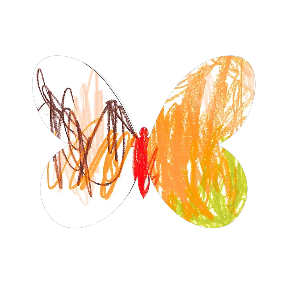 Original Butterfly Image