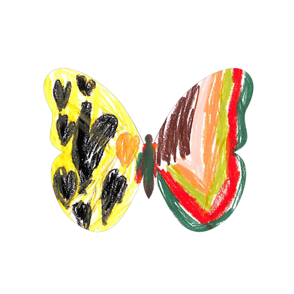 Original Butterfly Image