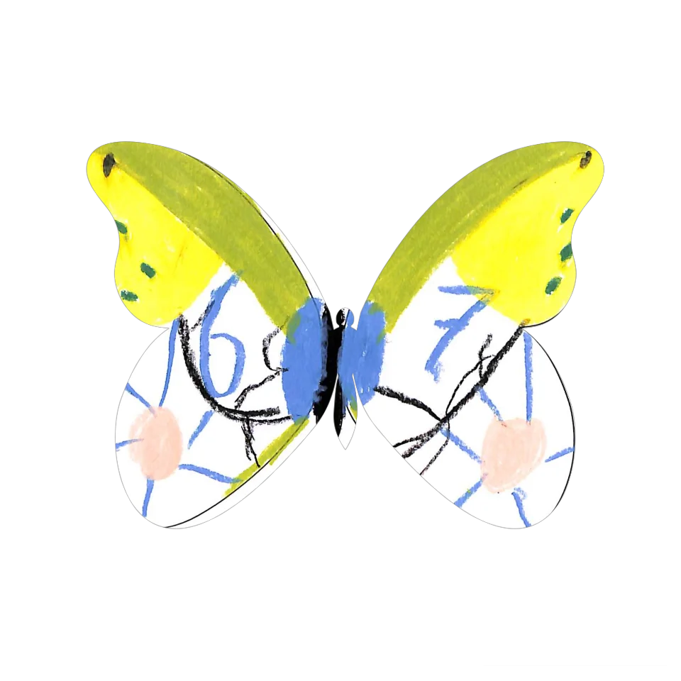 Original Butterfly Image