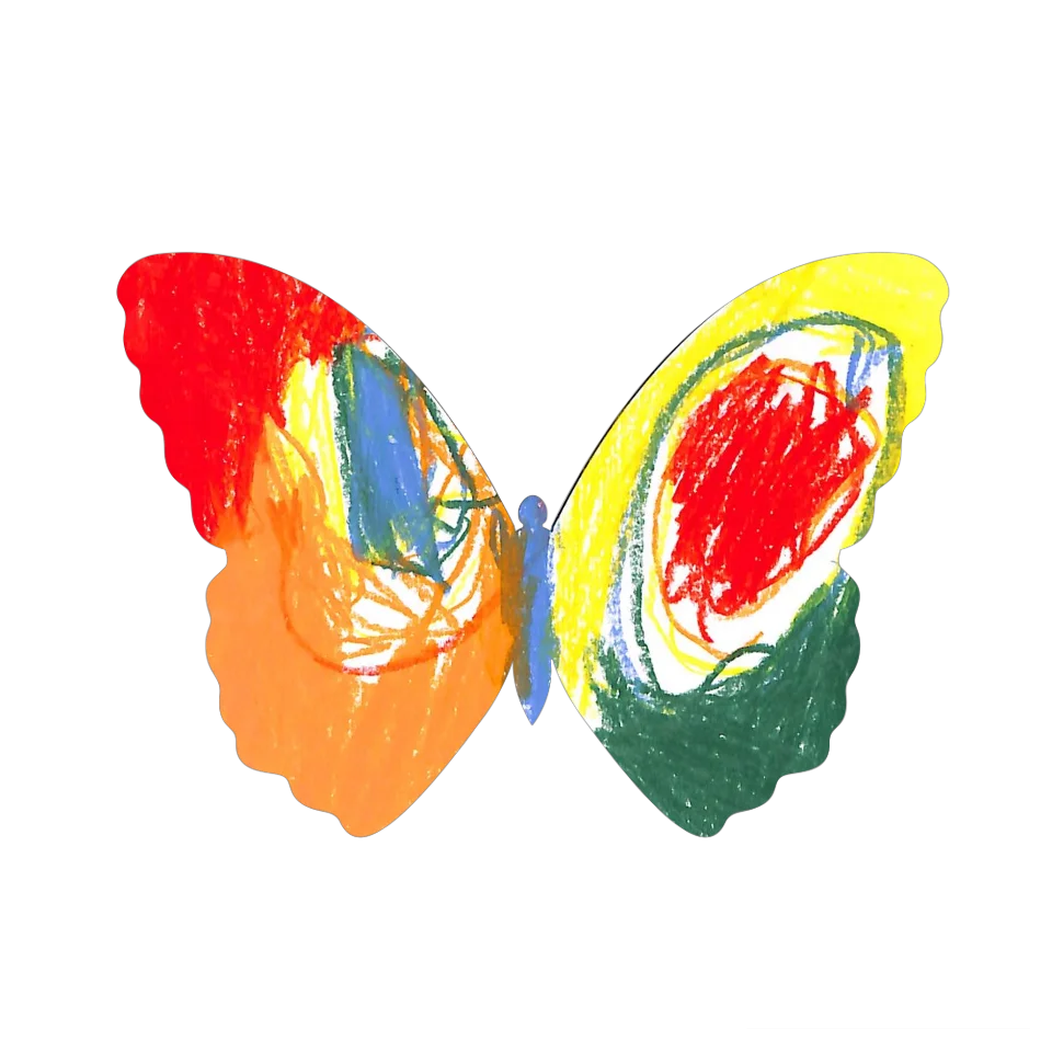 Original Butterfly Image