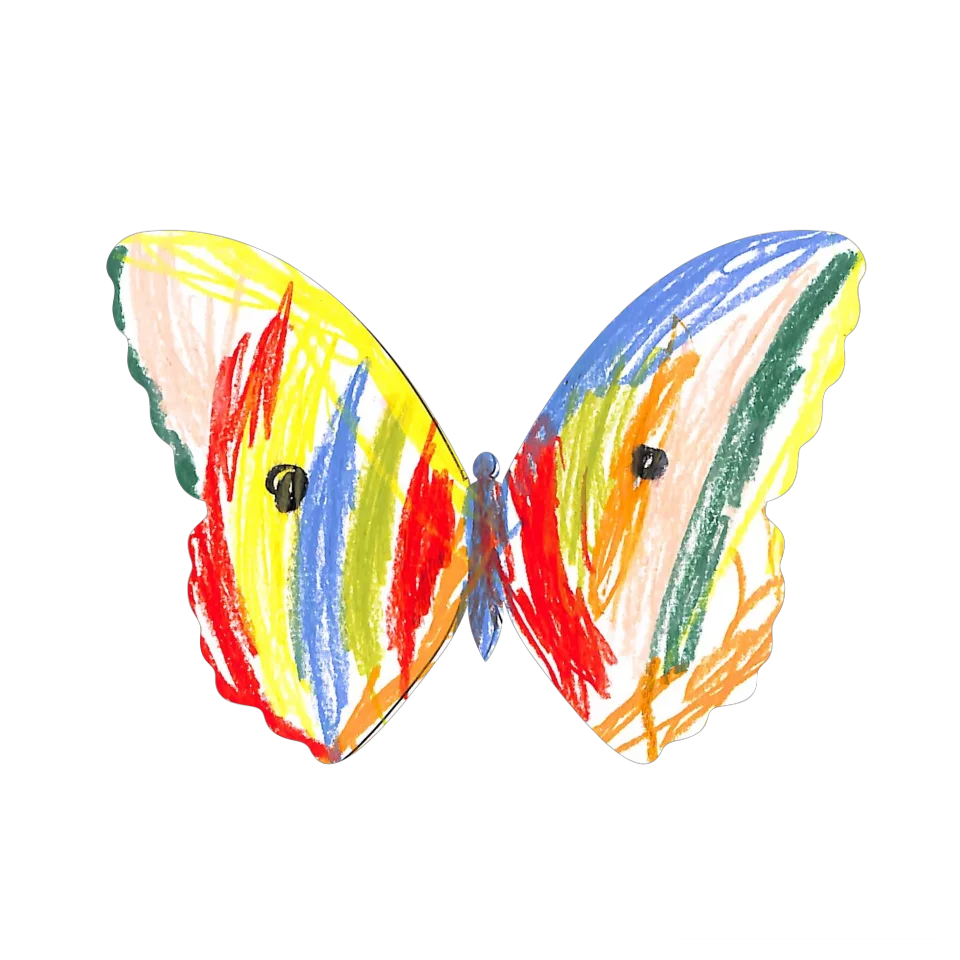 Original Butterfly Image