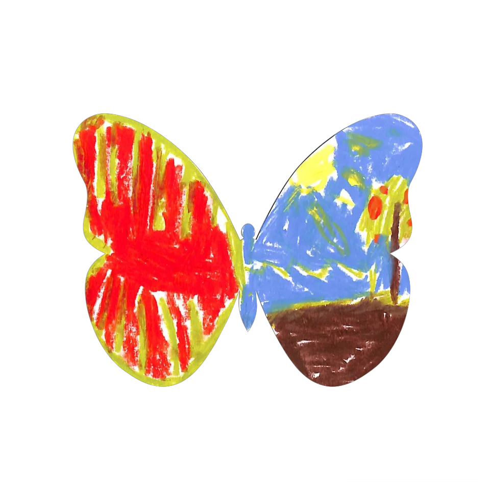 Original Butterfly Image
