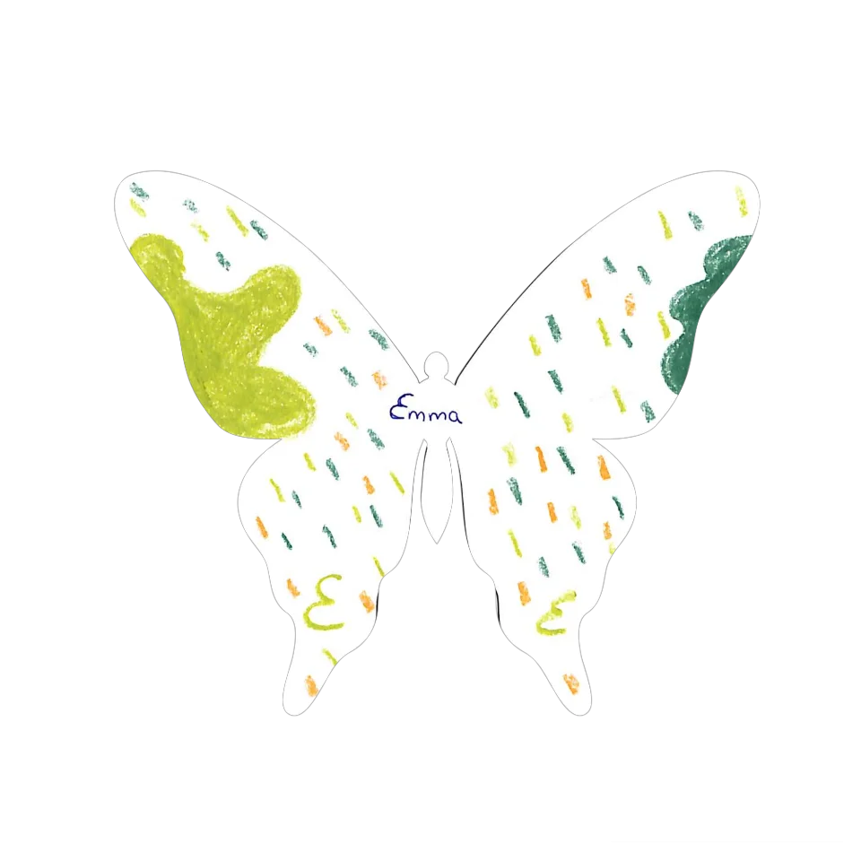 Original Butterfly Image
