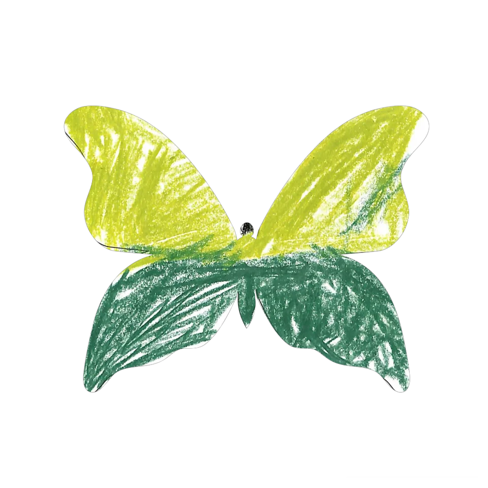 Original Butterfly Image