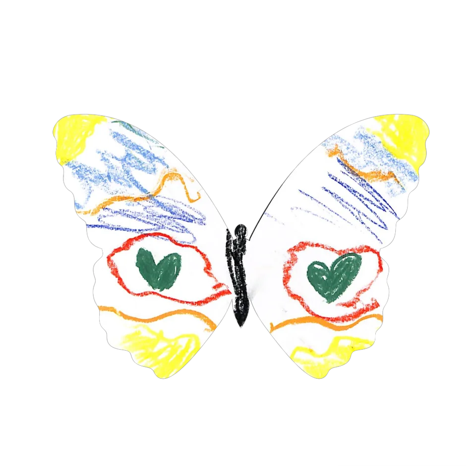Original Butterfly Image